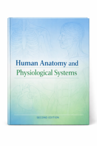 Human Anatomy